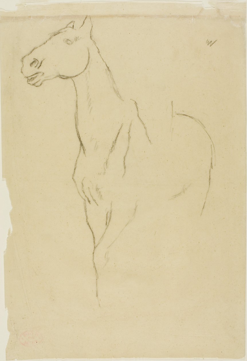 Hest drejet trekvart af Edgar Degas