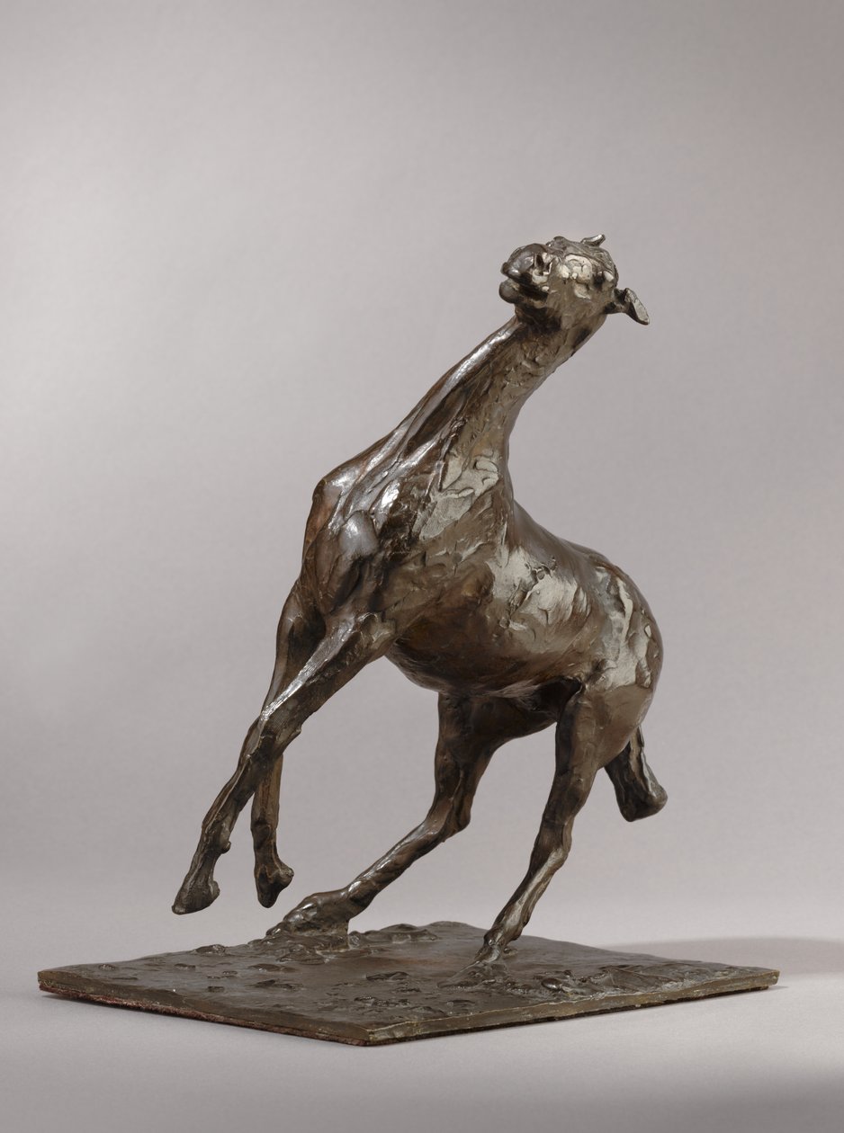 Opdrætshest, modelleret ca. 1870