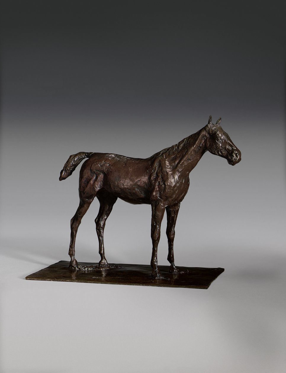 Stående Hest af Edgar Degas