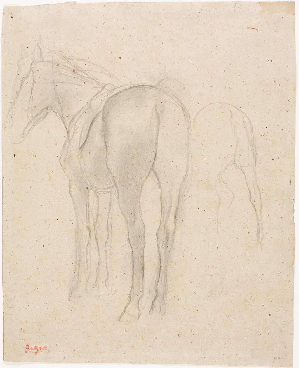 Studier af en hest af Edgar Degas