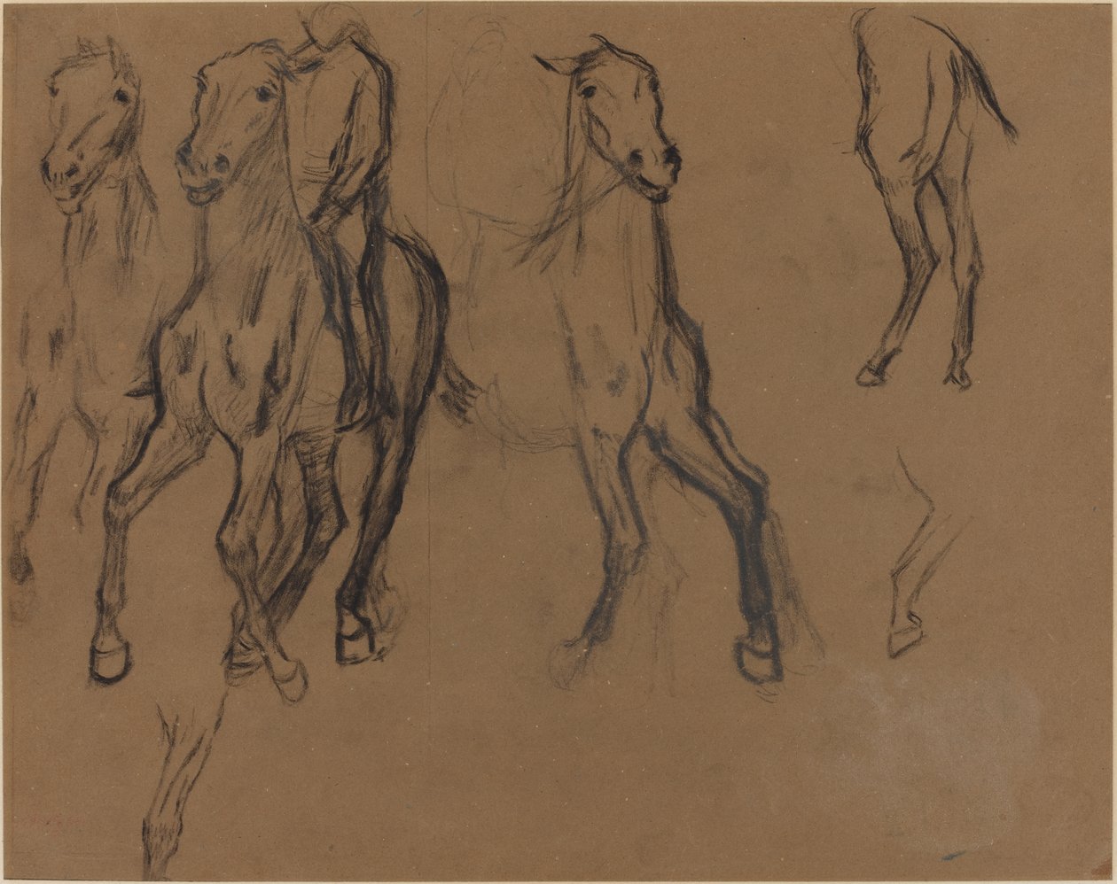 Study of Horses, ca. 1886 (kul og grafit på brunt papir) af Edgar Degas