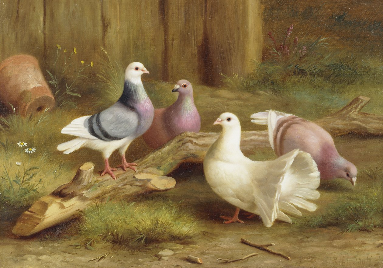 Duer af Edgar Hunt