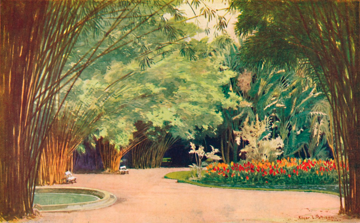 A Bamboo Grove - Botanisk Have, 1914 af Edgar L. Pattison