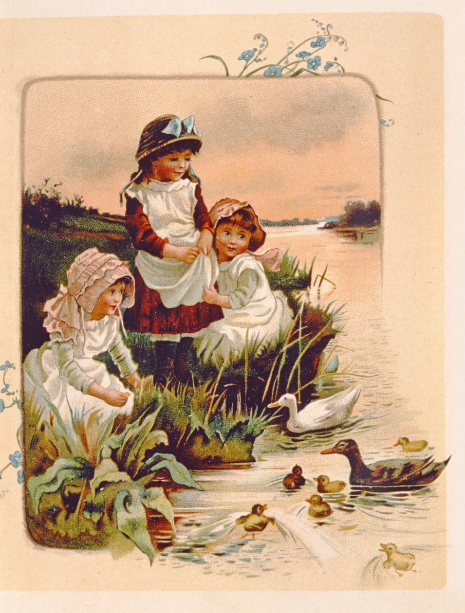 Fodring af ænder, illustration fra `Where Lilies Live