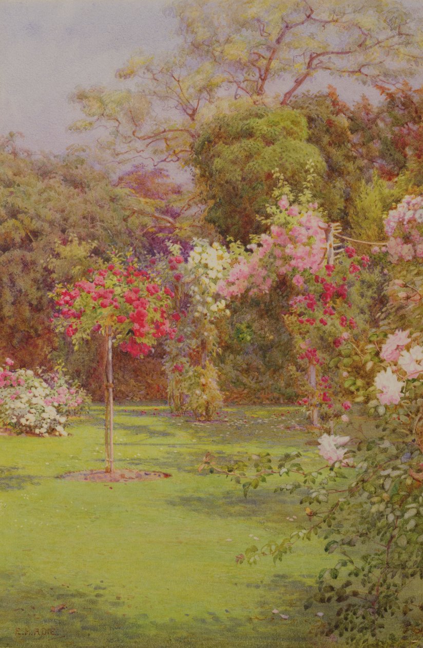 En rosenhave (akvarel på papir) af Edith Helena Adie