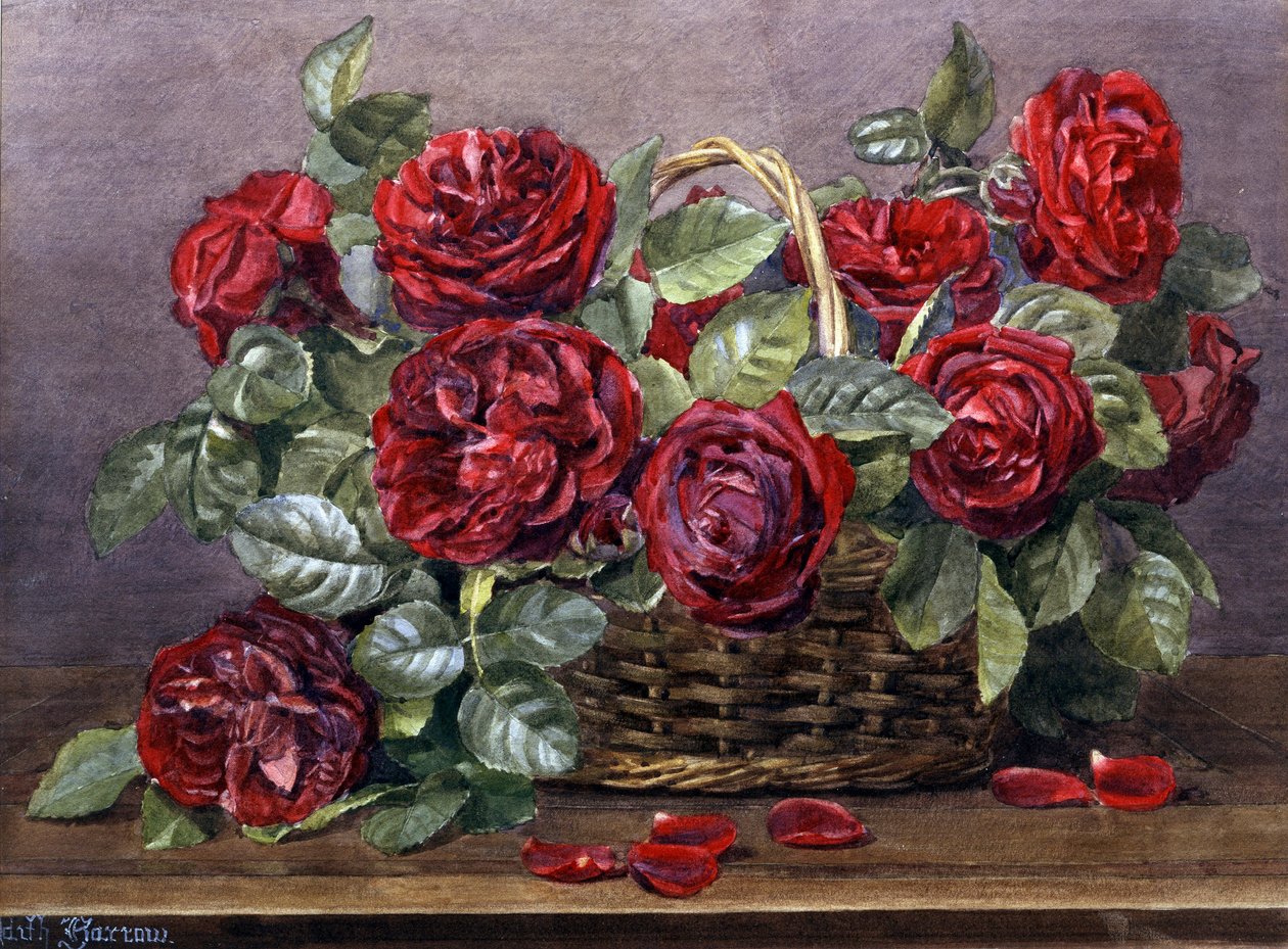 Røde roser. Maleri af Edith Isabel Barrow (død 1930) Privat samling. af Edith Isabel Barrow