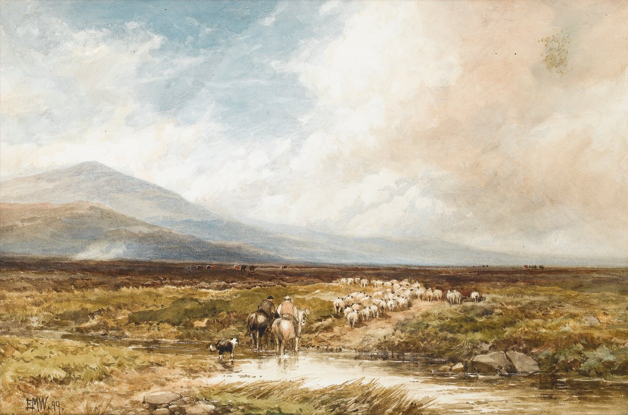 Tavy Cleave, Dartmoor, 1899 (wc på papir) af Edmund Morison Wimperis