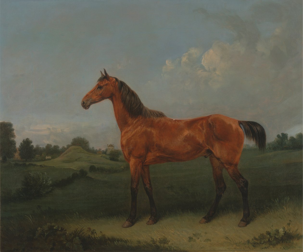 En Bay Hest på en Mark af Edmund Bristow