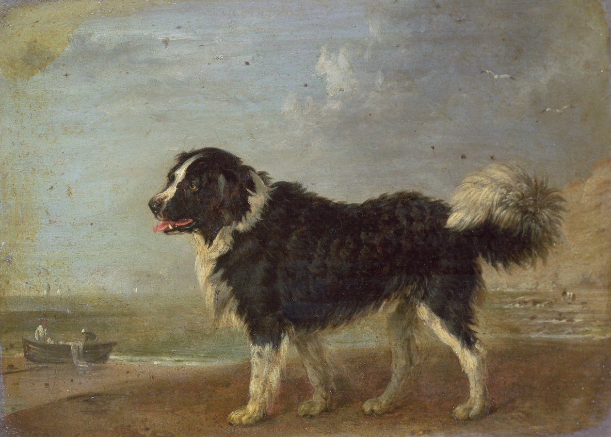 Ukendt billede af Edmund Bristow