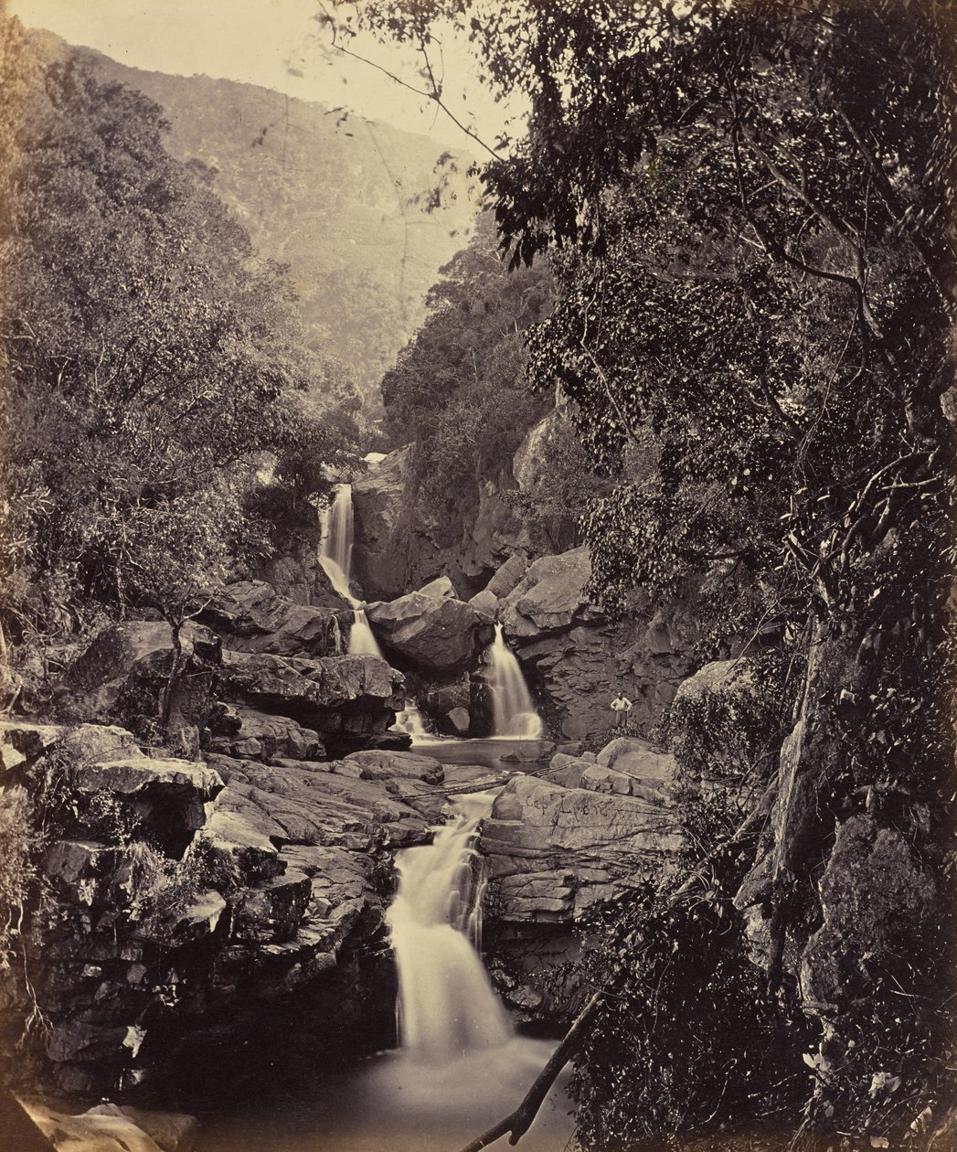 Lysets fald. Coonoor Ghant af Edmund David Lyon