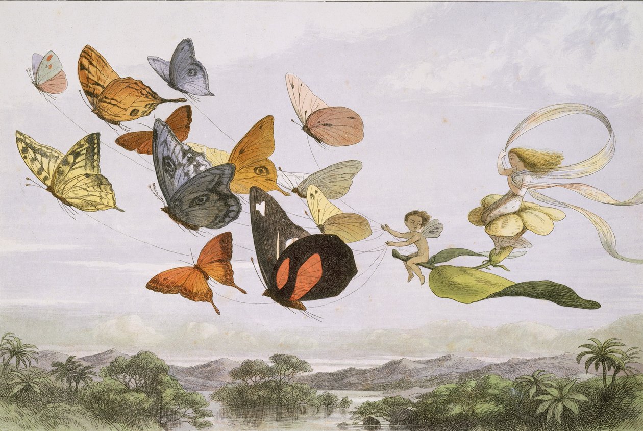 In Fairyland: A Series of Pictures from the Elf-World, 1870. af Edmund Evans