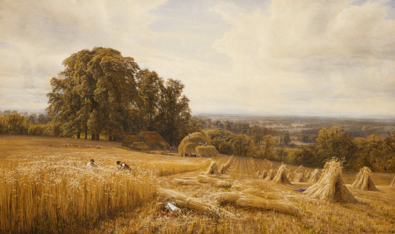 Et omfattende landskab med mejetærskere, 1873 af Edmund George Warren