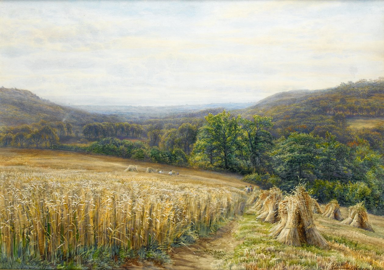 Høsttid nær Ashburton, 1884 (wc & gouache på papir) af Edmund George Warren