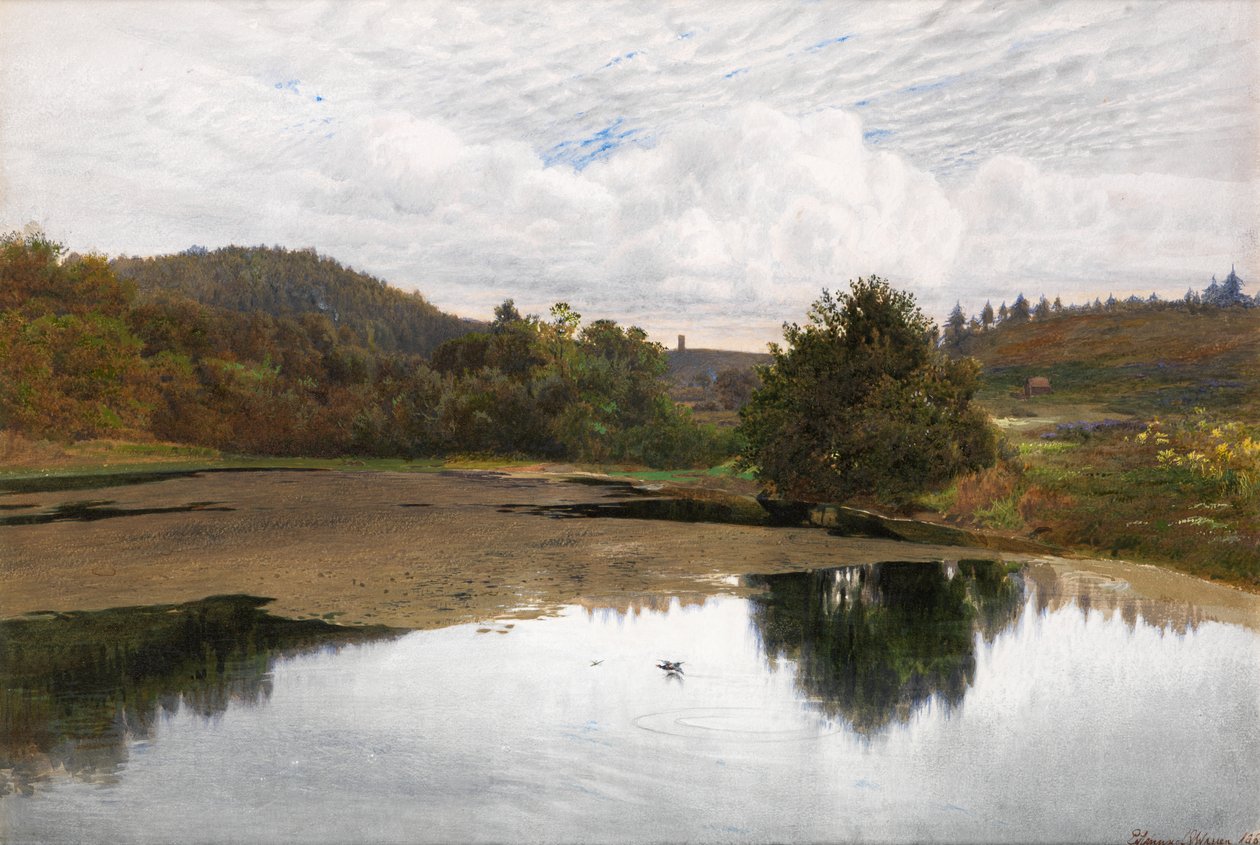 Leith Hill, fra Broadmoor, Surrey af Edmund George Warren