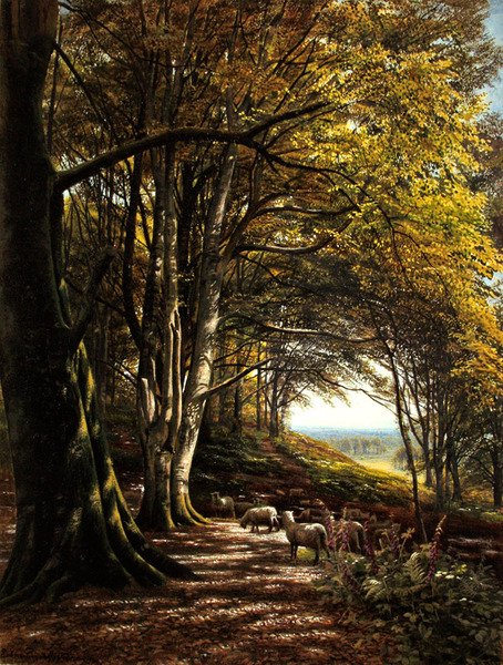 Får græsser i en skovlysning (akvarel og kropsfarve på papir) af Edmund George Warren