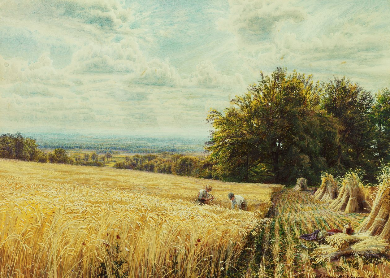 Høstmændene, 1865 af Edmund George Warren