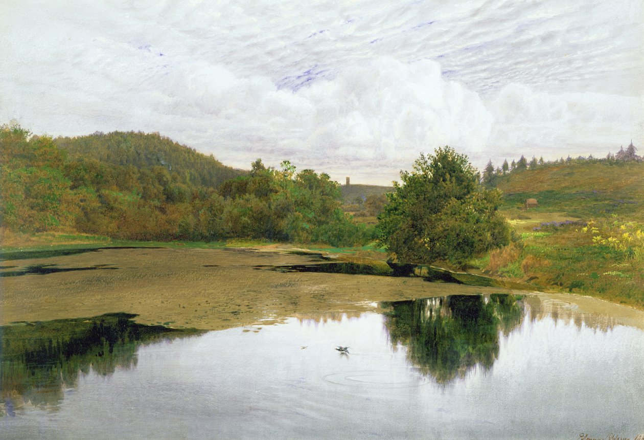 The Pool, 1860 (wc & pen og blæk på papir) af Edmund George Warren