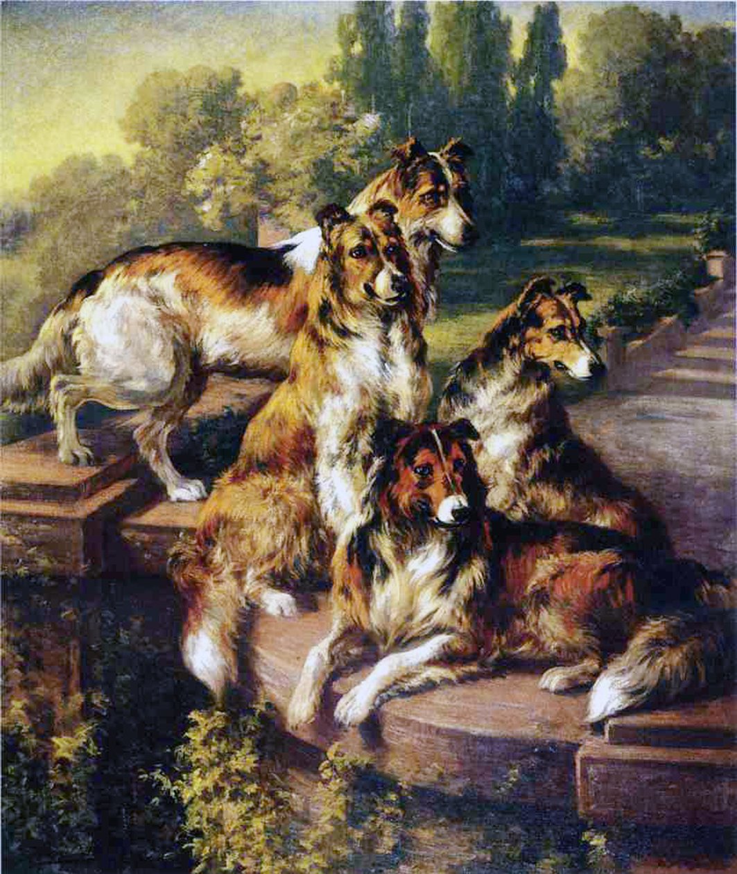 Collies af Edmund Henry Osthaus
