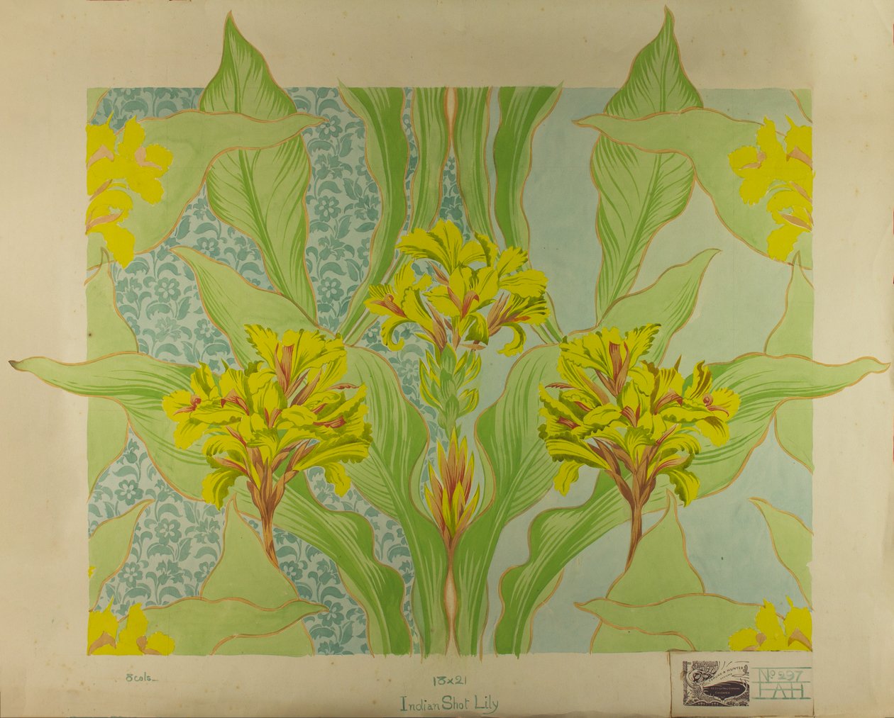 Indian Shot Lily, ca. 1895 (gouache på papir) af Edmund Hunter
