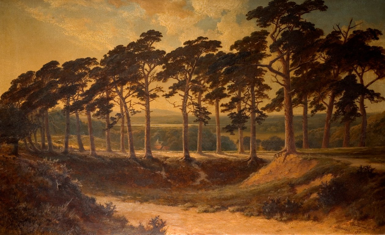 Harrow from the First, Hampstead Heath, 1875 af Edmund John Niemann