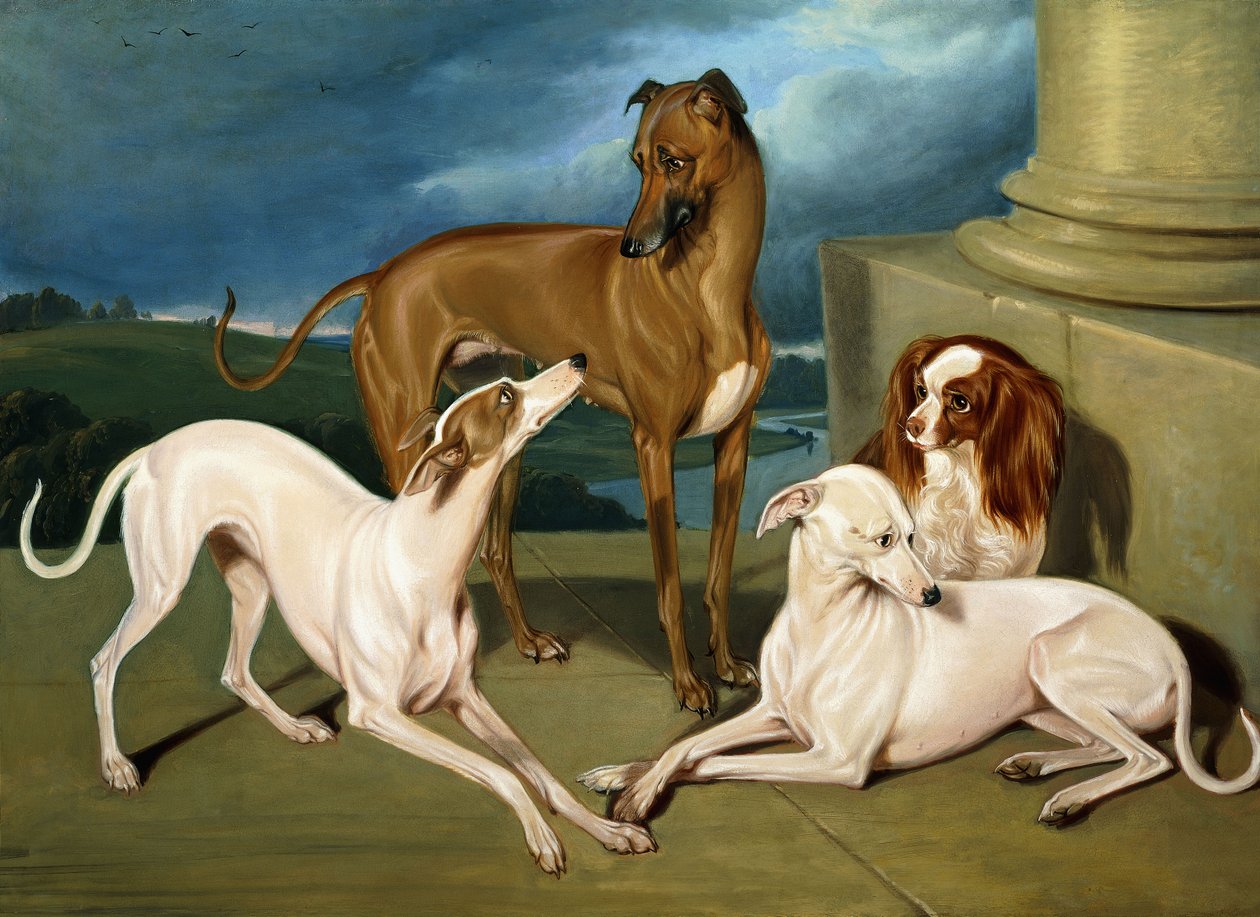 Whippets og en King Spaniel, 1837 af Edmund Jr Havell