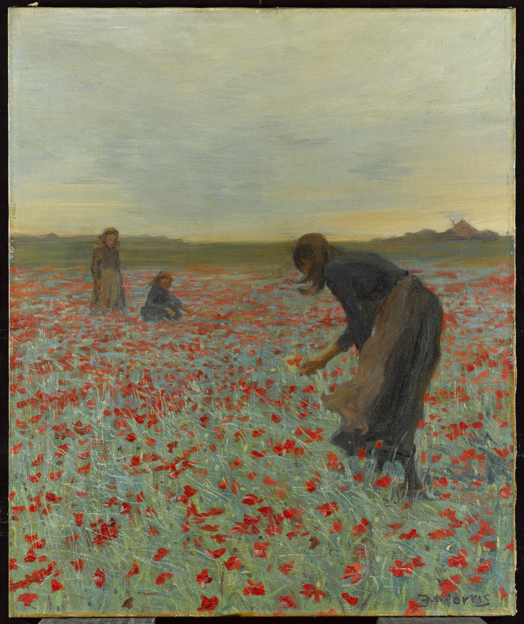 Piger i en valmuemark, ca. 1896 af Edmund Montague Morris
