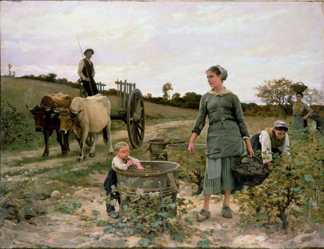 Hjørnet af en vinmark, Languedoc, 1886 af Edouard Debat Ponsan