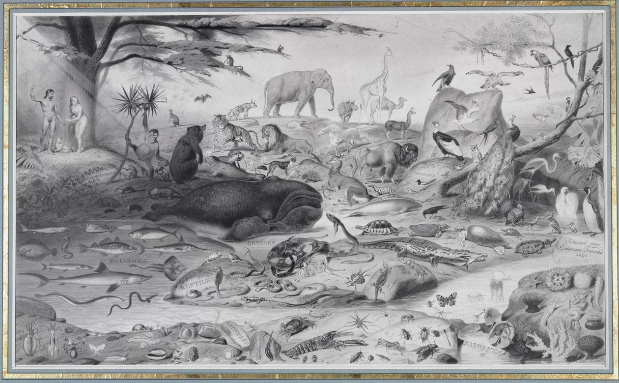 Adam og Eva og dyrene, 1841 af Edouard Travies