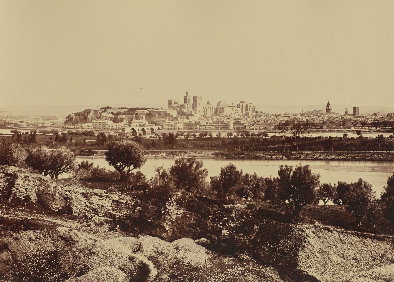 Avignon af Édouard Baldus
