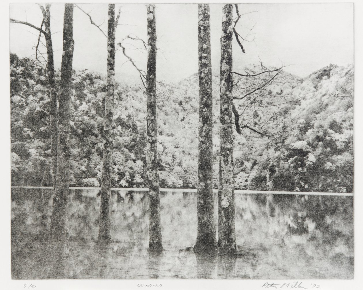 Sai-no-Ko, 1992dani af Edouard Cremieux