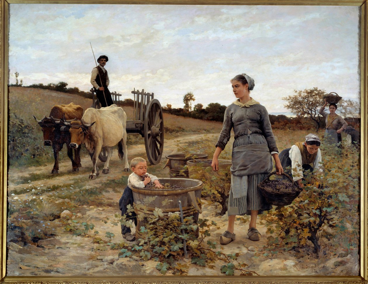 Hjørne af vin i Languedoc Maleri af Edouard Debat Ponsan (1847-1913) 1886 Søn. 2,02x2,6 m Nantes, Musee des Beaux Arts af Edouard Debat Ponsan