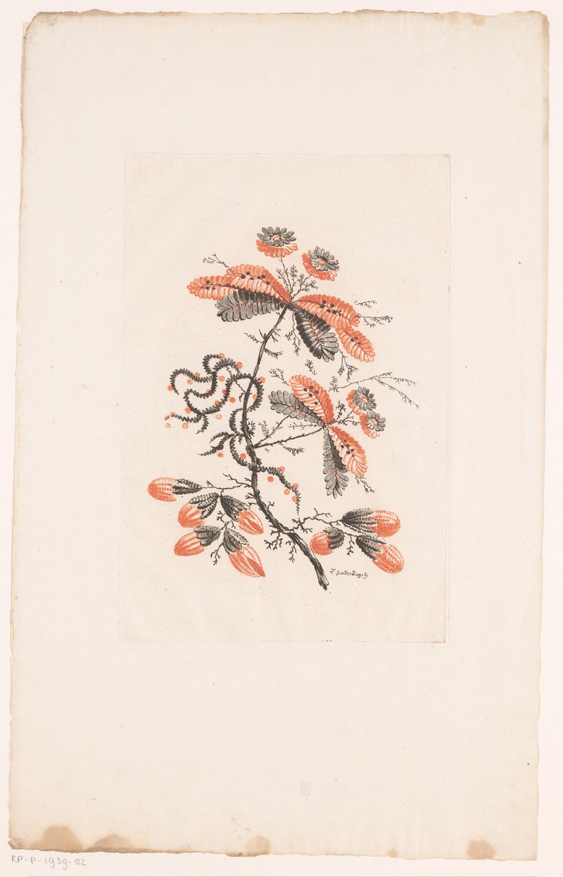 Blomster og knopper Fleurs Idealle (serietitel) af Edouard Gautier Dagoty