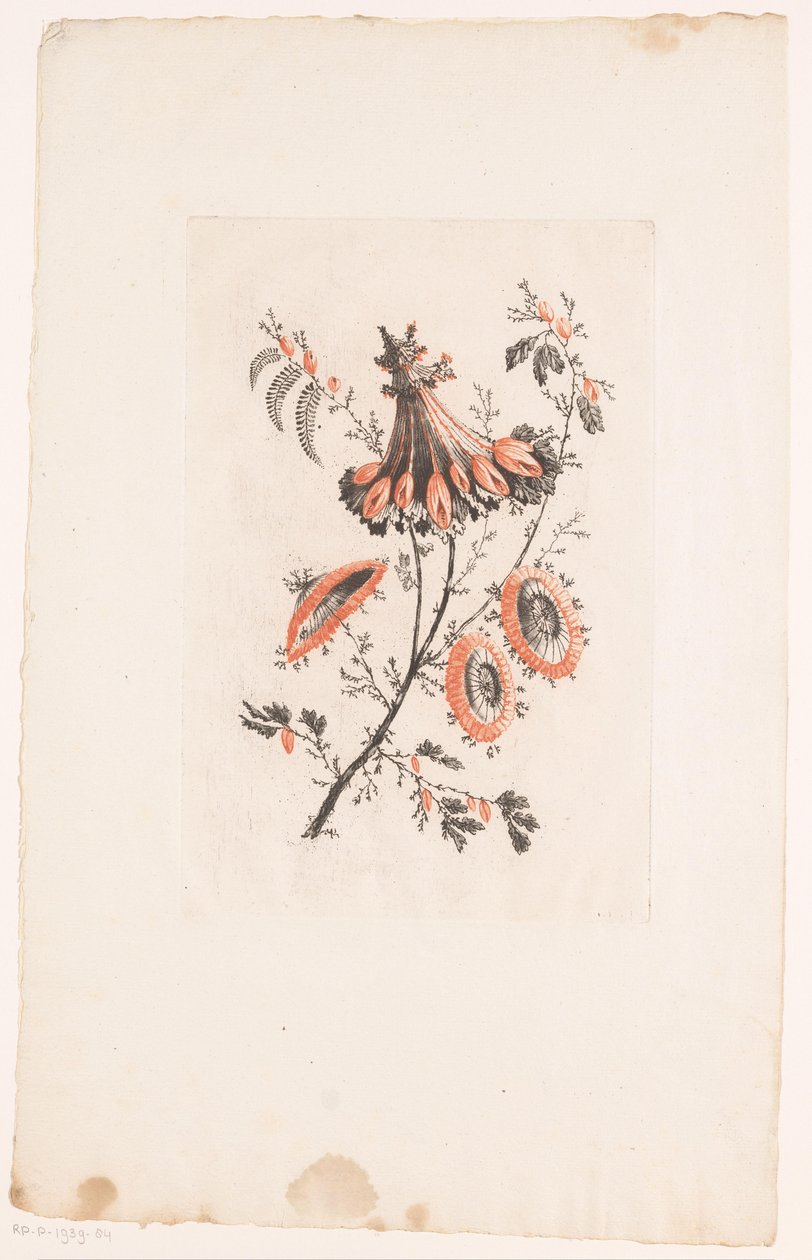 Parasolformede blomster Fleurs Idealle (serietitel) af Edouard Gautier Dagoty