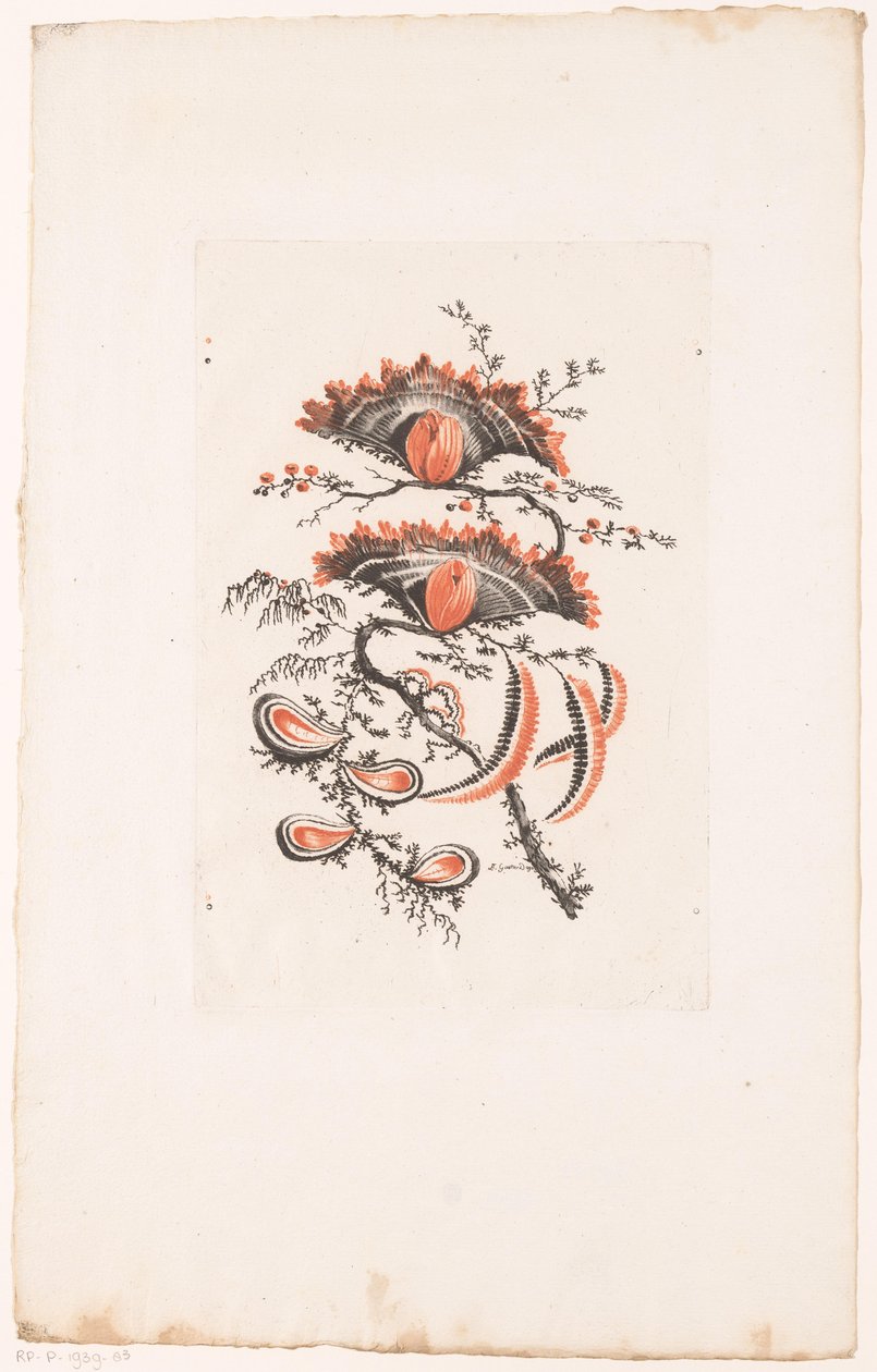 Vifteformede blomster Fleurs Idealle (serietitel) af Edouard Gautier Dagoty