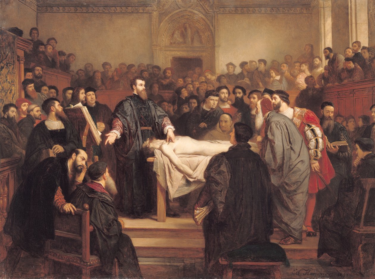 Andreas Vesalius (1514-64) i Padua, 1859 af Edouard Jean Conrad Hamman