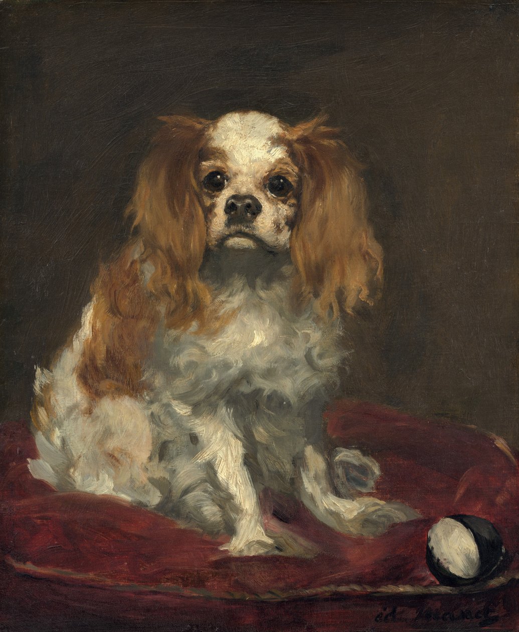 En King Charles Spaniel, ca. 1866. af Édouard Manet
