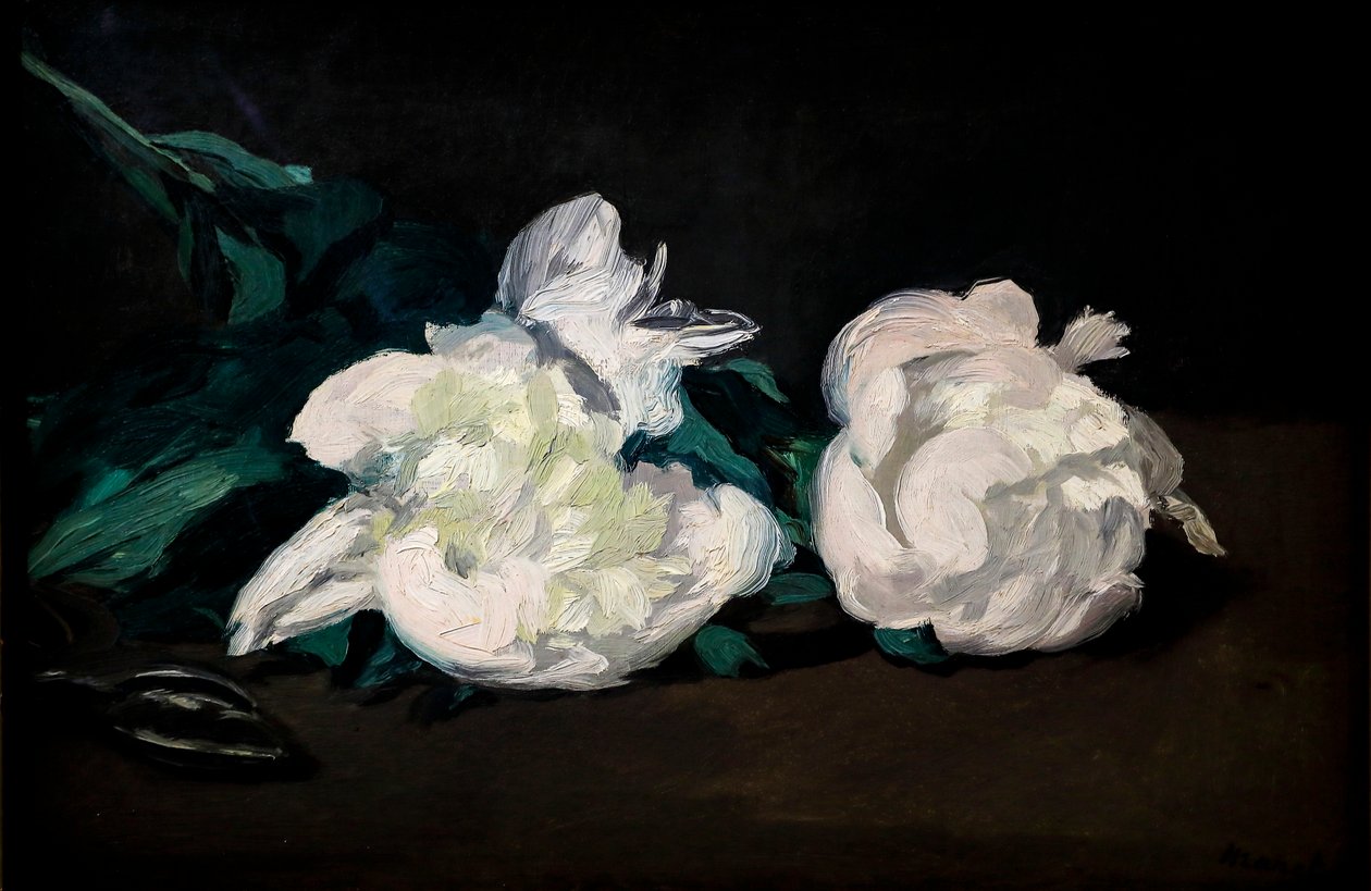 Gren af hvide pæoner og sekatører af Édouard Manet