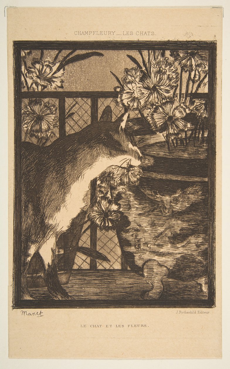 Kat og blomster. Illustration til The Cats af Champfleury, 1869. af Édouard Manet
