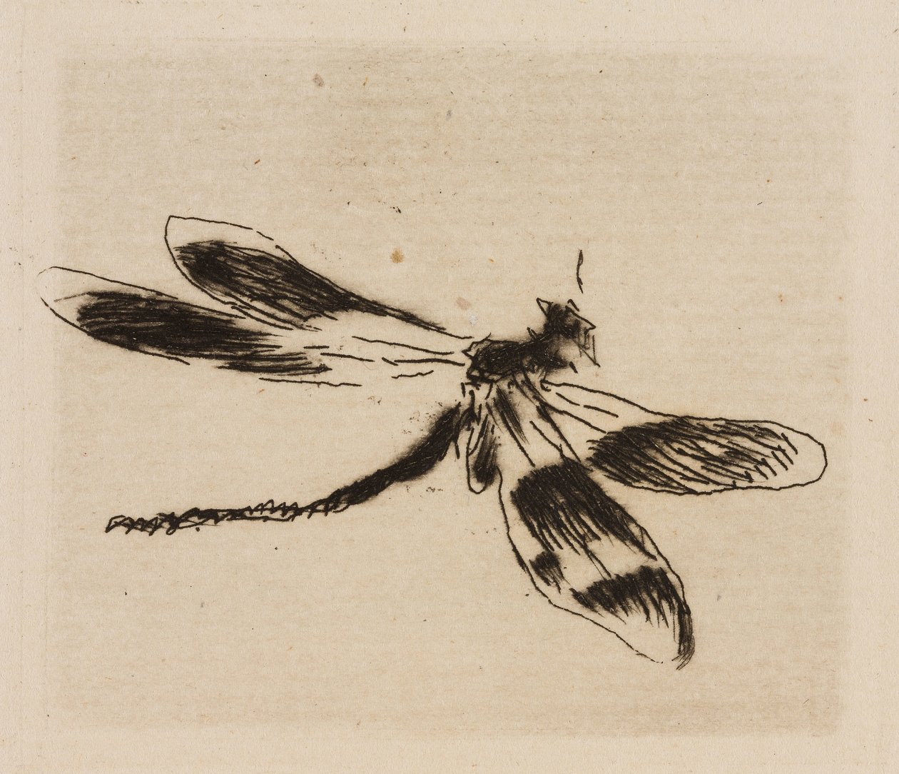 Dragonfly, plade 1 fra The River af Édouard Manet