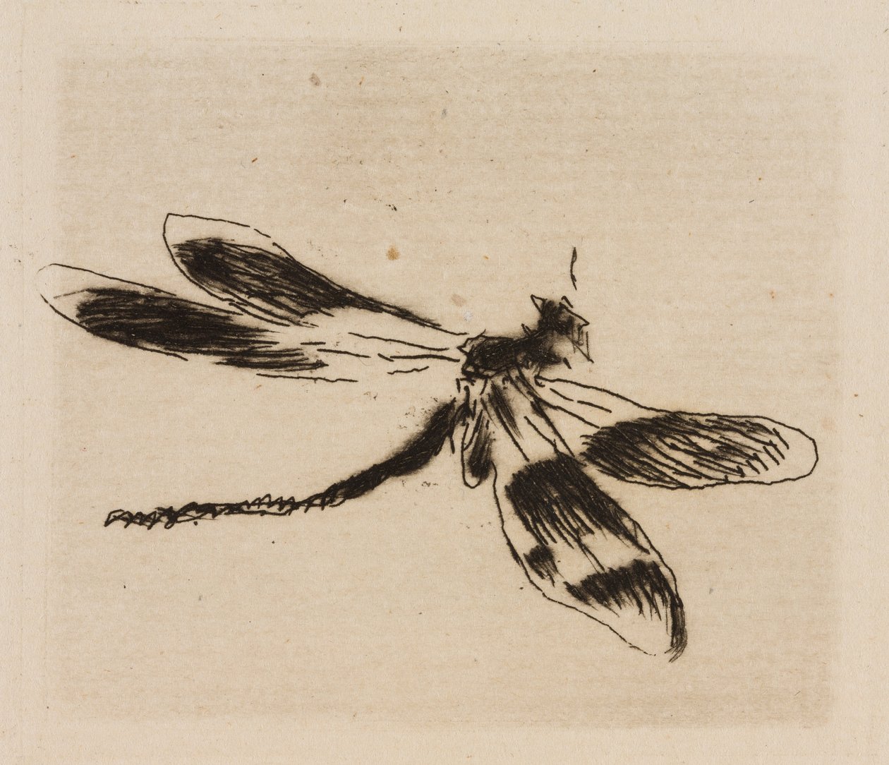 Dragonfly, plade 1 fra Le Fleuve af Édouard Manet