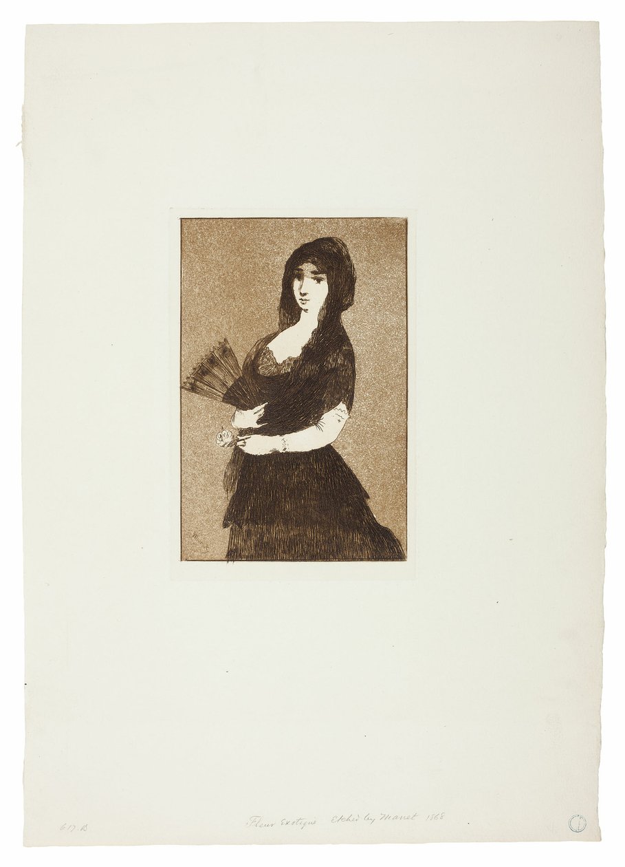 Eksotisk blomst (Woman in a Mantilla) af Édouard Manet
