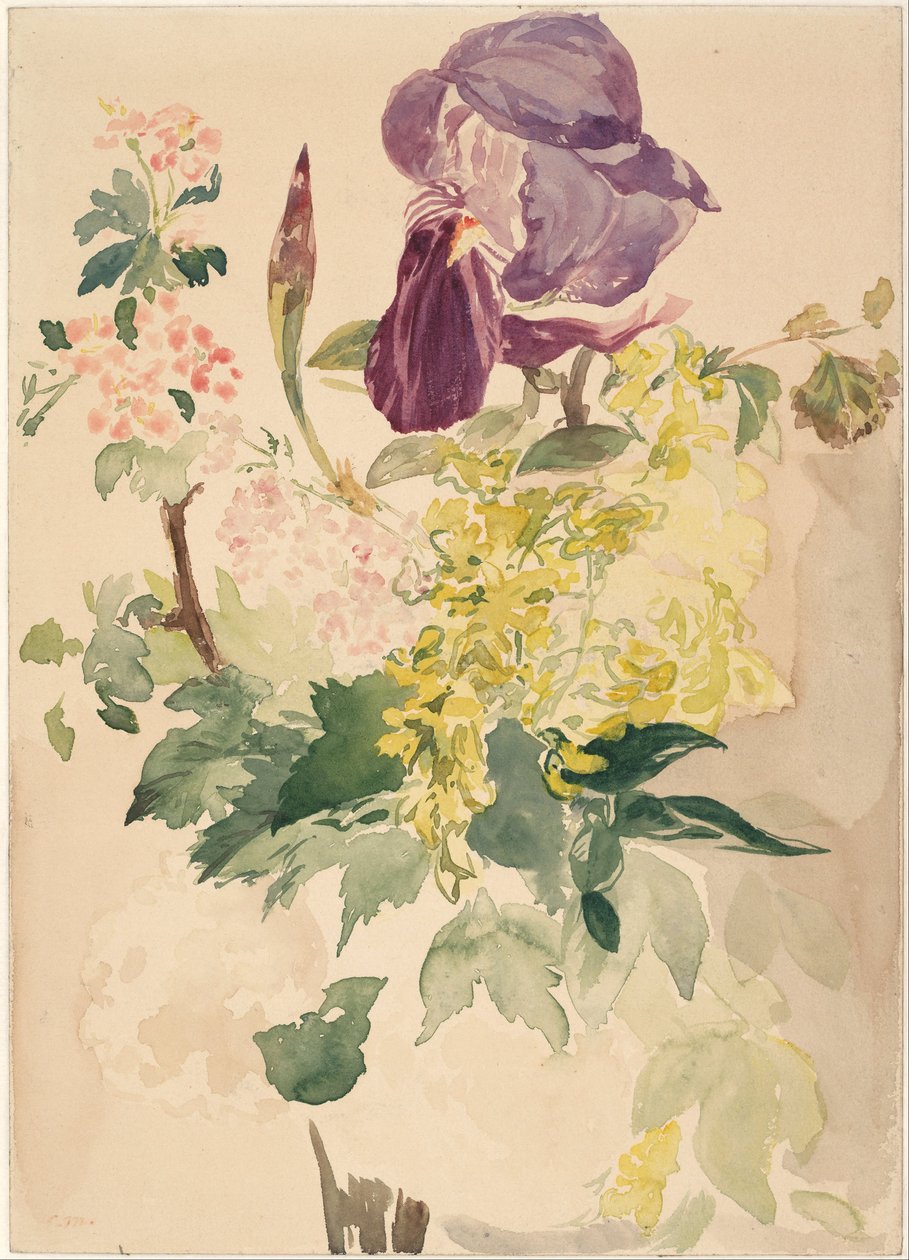 Blomsterstykke med Iris, Laburnum og Geranium, 1880 af Édouard Manet