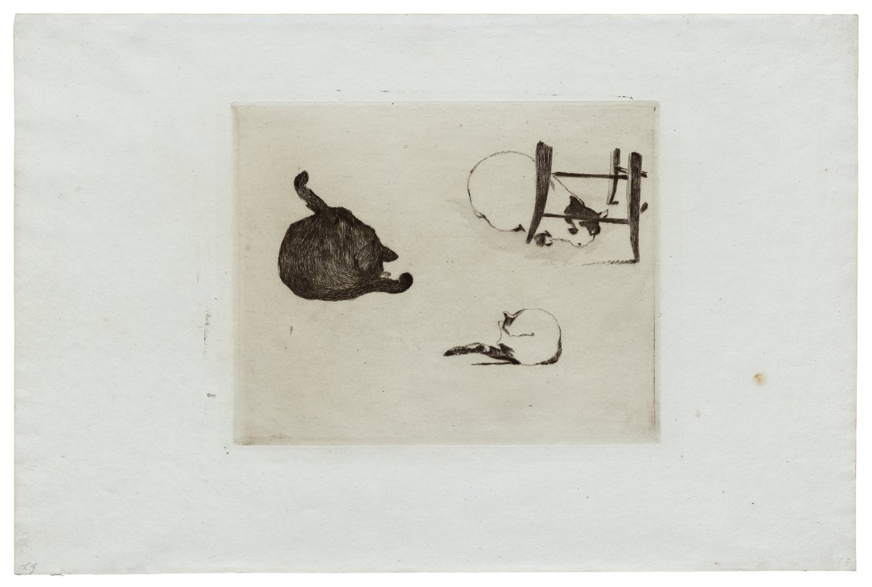Kattene af Édouard Manet