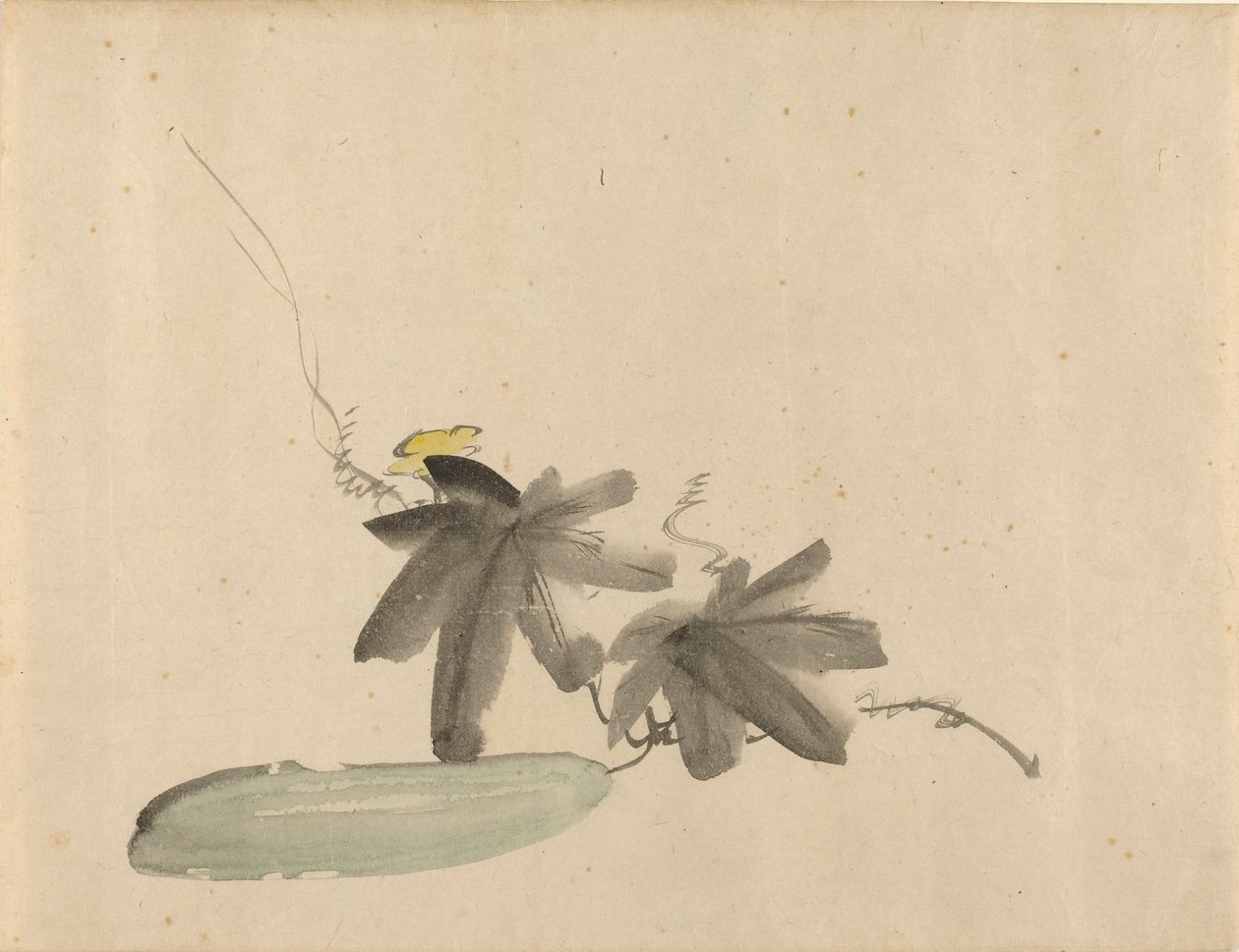 Manet - Agurk med blade, ca. 1880 af Édouard Manet