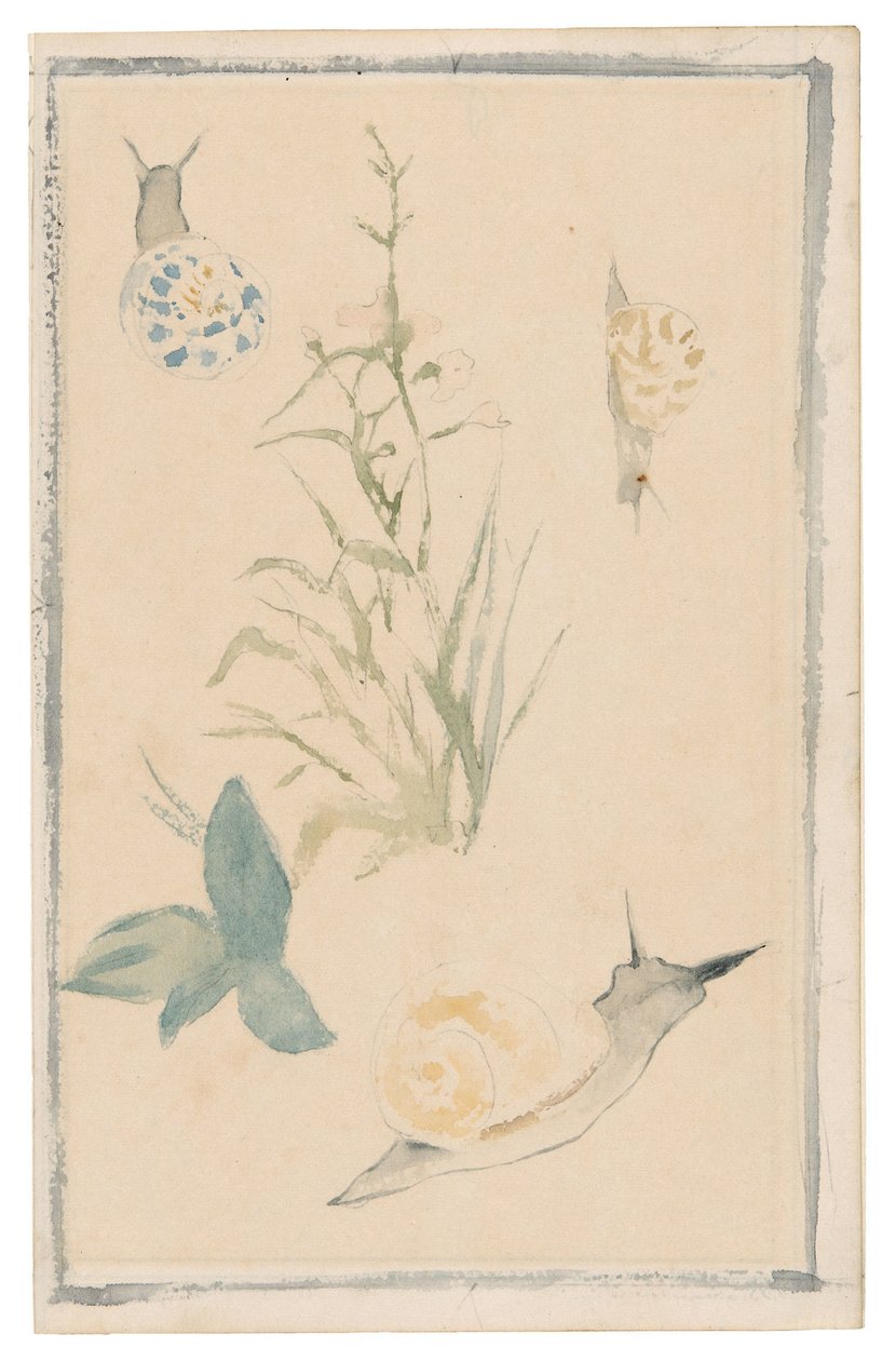 Manet - Skitser af snegle og blomstrende planter, 1864-68 af Édouard Manet