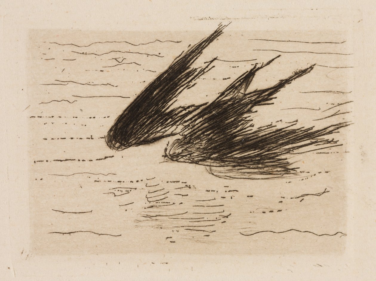 Svaler, plade 8 fra Le Fleuve af Édouard Manet
