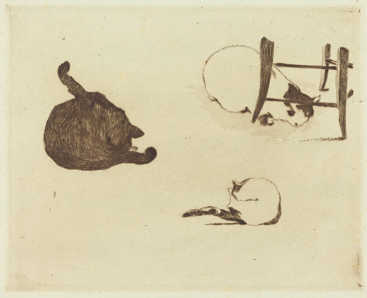 The Cats (Les chats) af Édouard Manet