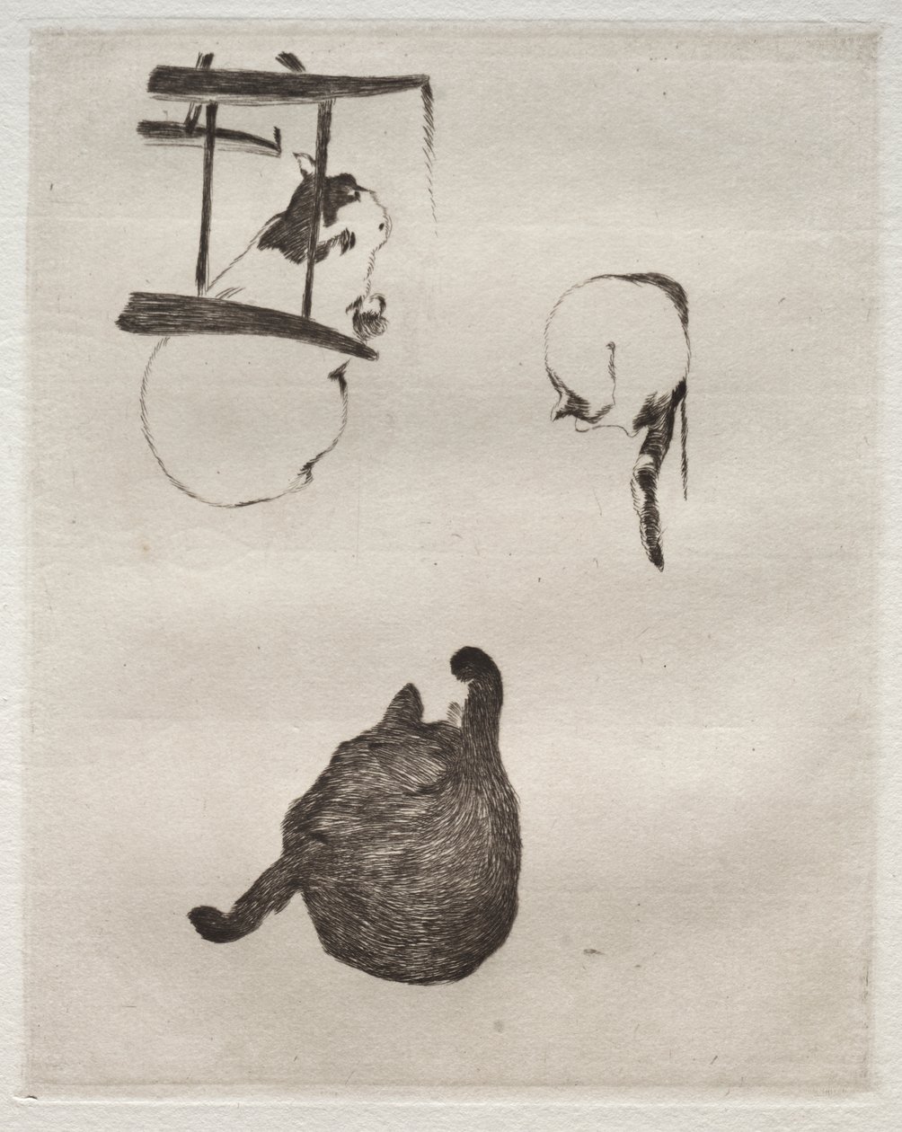 Kattene af Édouard Manet