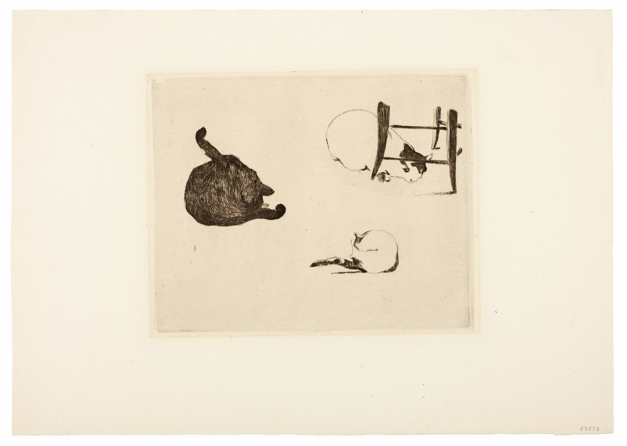 Kattene af Édouard Manet