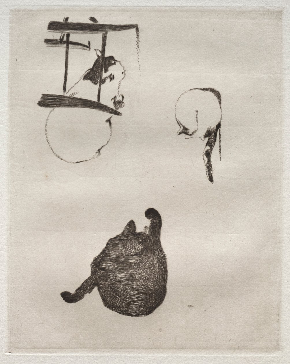 Kattene, 1868-1869. af Édouard Manet